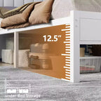 Cadre de lit blanc Queen Size avec lumières LED Station de charge Tête de lit rembourrée en similicuir avec étagère Plateforme sans sommier Moderne