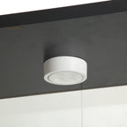 Vetrina in Vetro a Due Ante Illuminata con 4 Ripiani, Nero