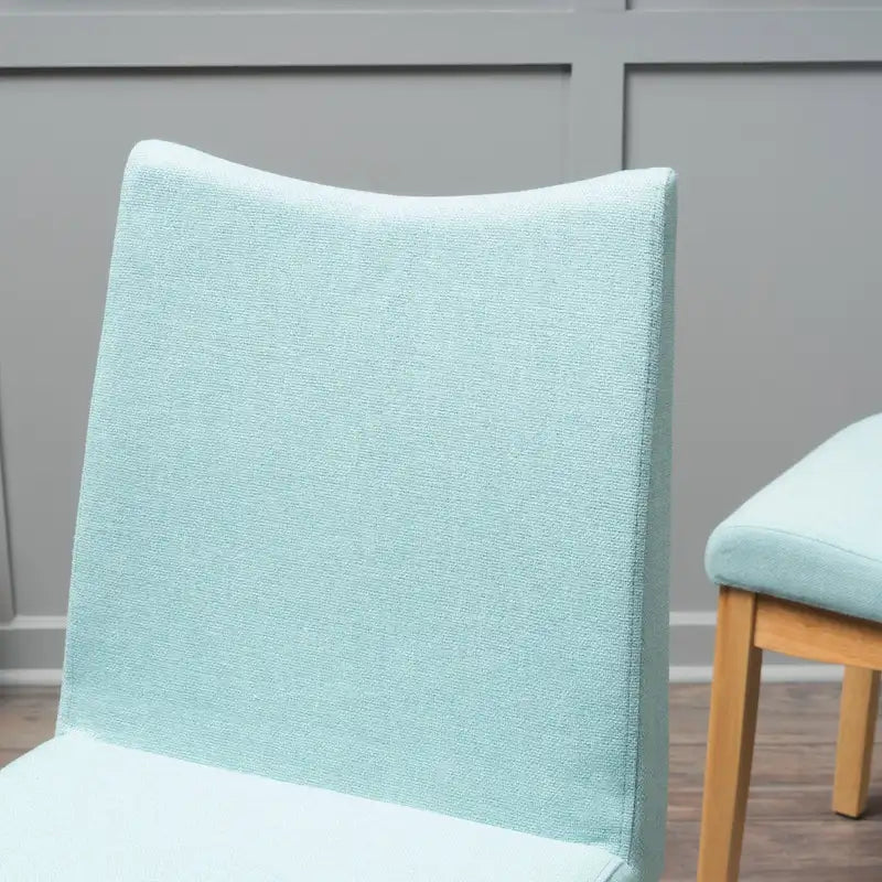 Chaises de salle à manger en tissu Dimitri Mid-Century (Lot de 2) par Christopher Knight Home