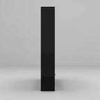 Centro di intrattenimento con inserto camino e centro multimediale elegante