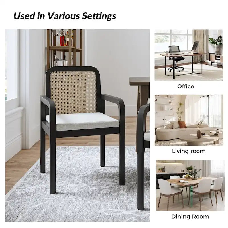 Sedia da pranzo Antoine Modern Ratten con cuscino rimovibile set da 2 di HULALA HOME