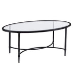HomeRoots Tavolino da Caffè Ovale in Vetro Trasparente e Nero e Metallo 45 - 19 H x 45 L x 25 P