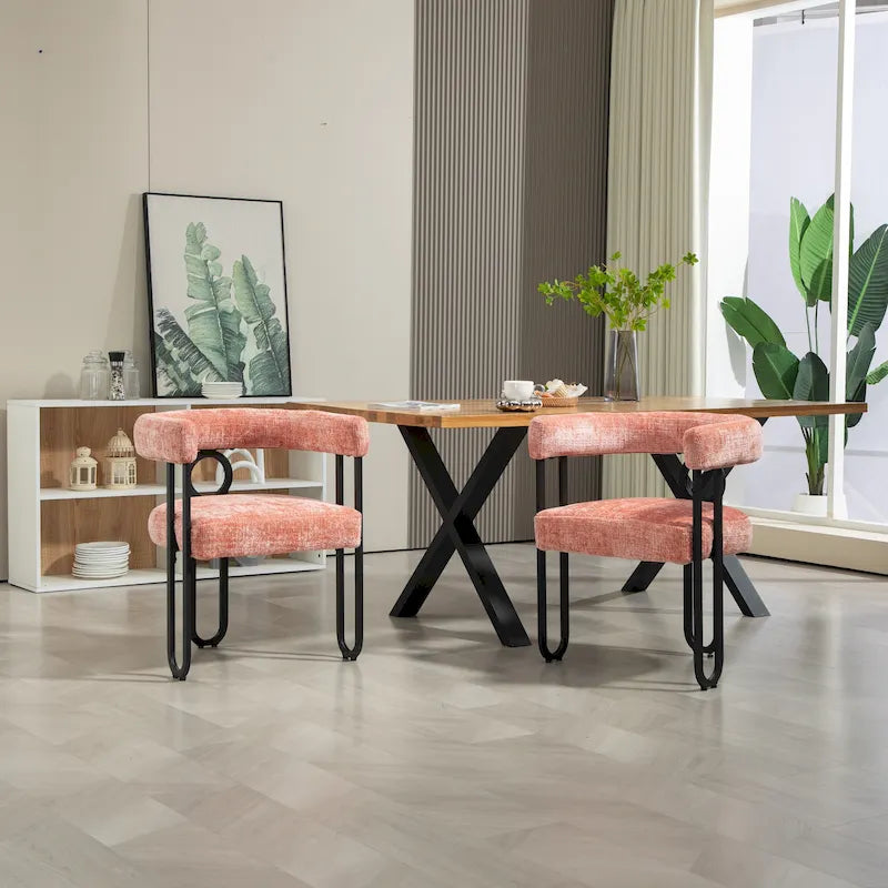 Sedie da pranzo d'accento moderne imbottite in ciniglia per soggiorno (set da 2)